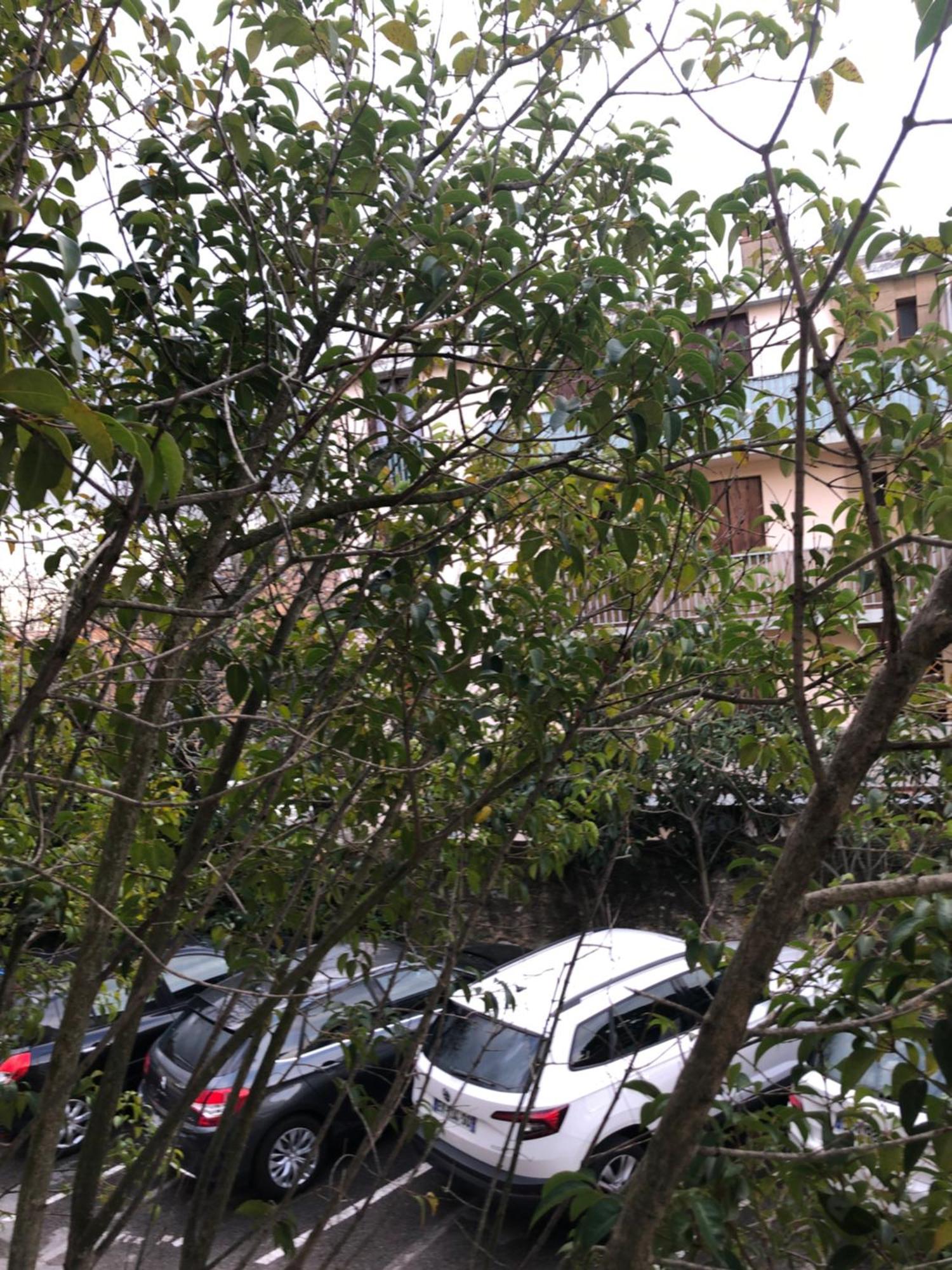 Logement Promenade De La Torse A Aix-En-Provence Esterno foto